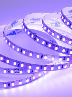 Cветодиодная лента Normal-C 2835 120Led 12V 9.6W IP20 Violet