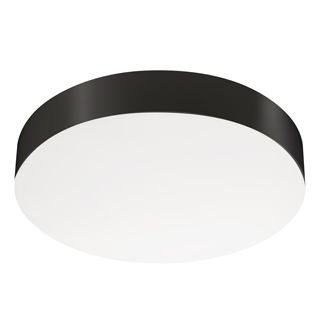 Светильник IM-FLOWER-EMERGENCY-3H-R410-32W Day4000-MIX (BK, 110 deg, 230V) (Arlight, IP54 Пластик, 2