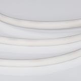 a_DL-06600-0006.jpg