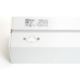 f_48585.jpg