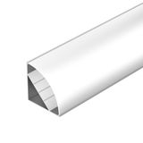 e_DL-01130-0010.jpg