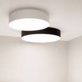 b_DL-01-3687.jpg