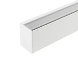 b_DL-12600-0915.jpg