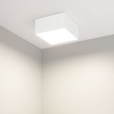 e_DL-12400-0467.jpg