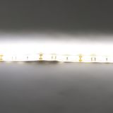 d_30908.jpg