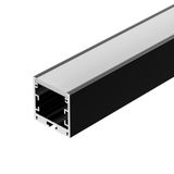 e_DL-01500-0291.jpg