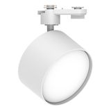 a_48544.jpg