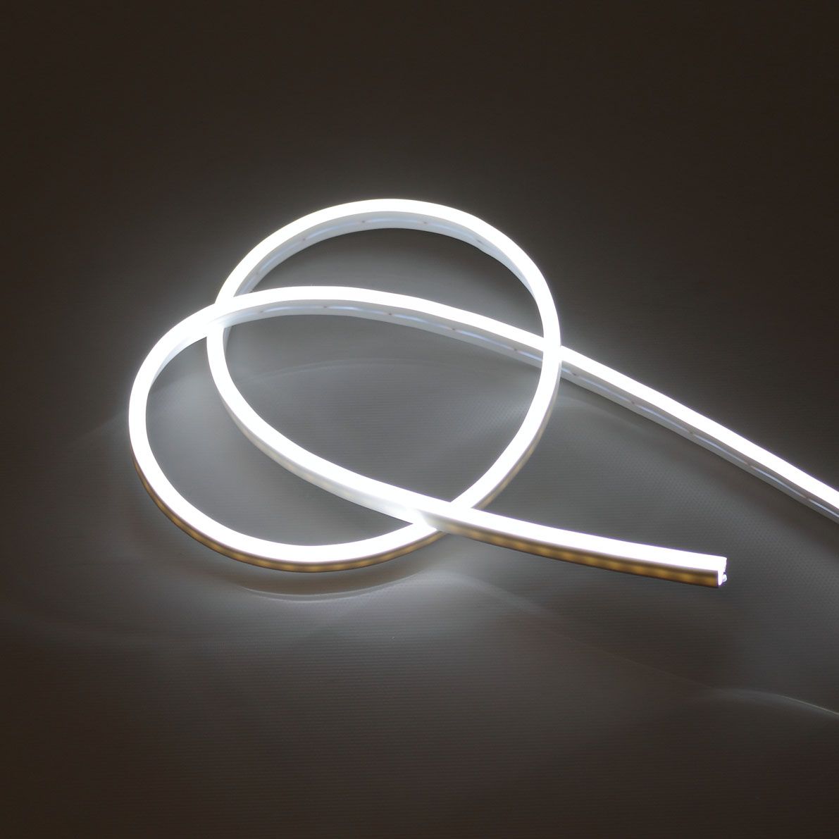 a_78828.jpg