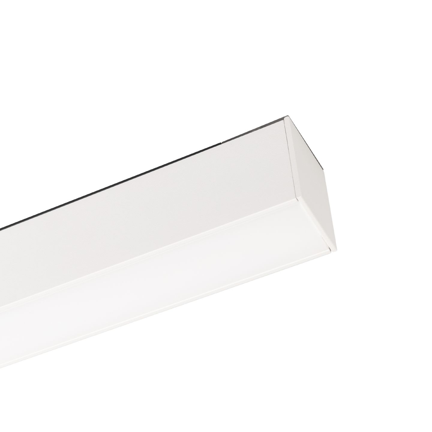 e_DL-12600-0293.jpg