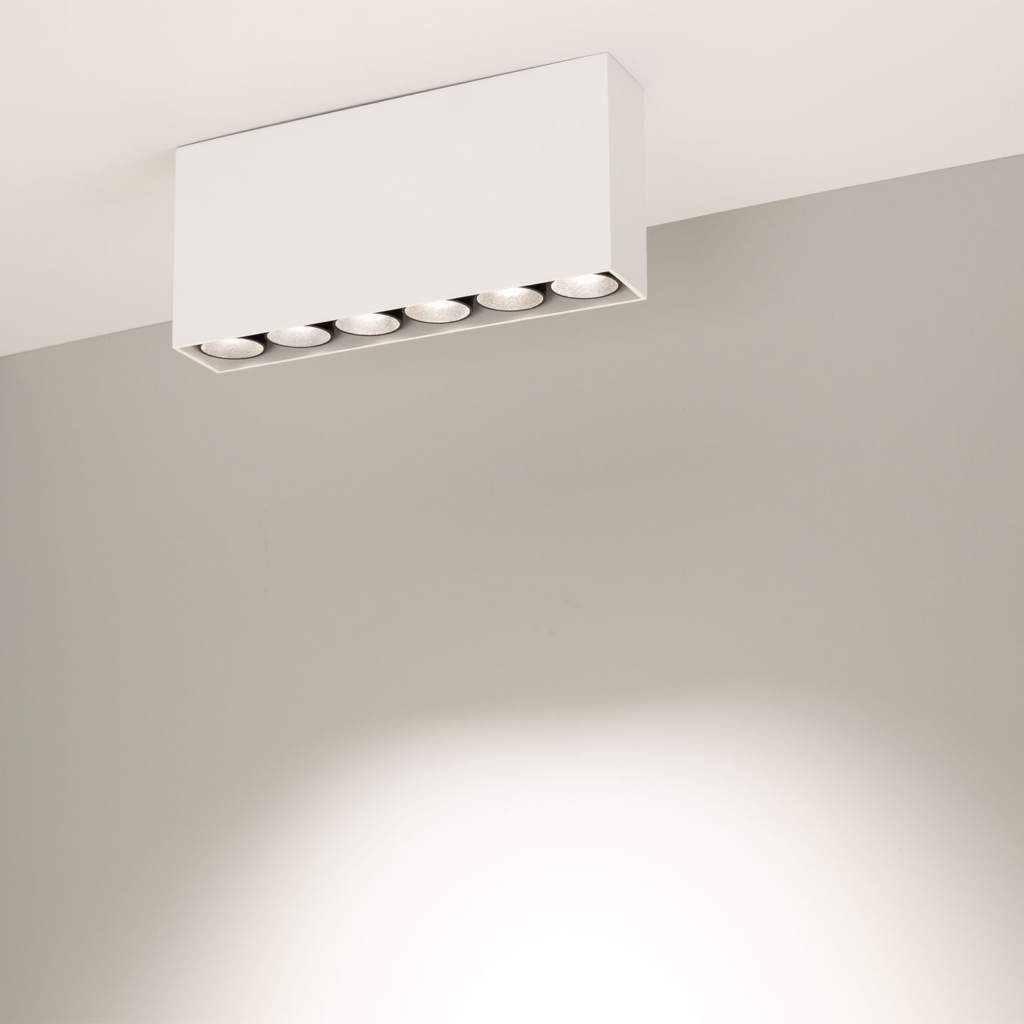 a_DL-12400-0365.jpg