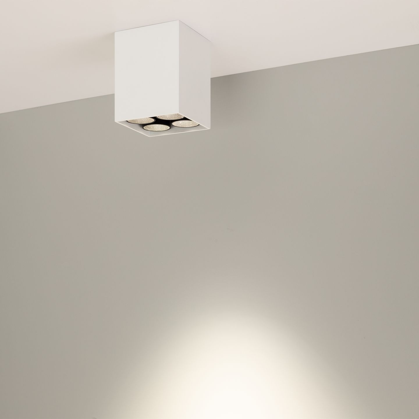 c_DL-12400-0369.jpg