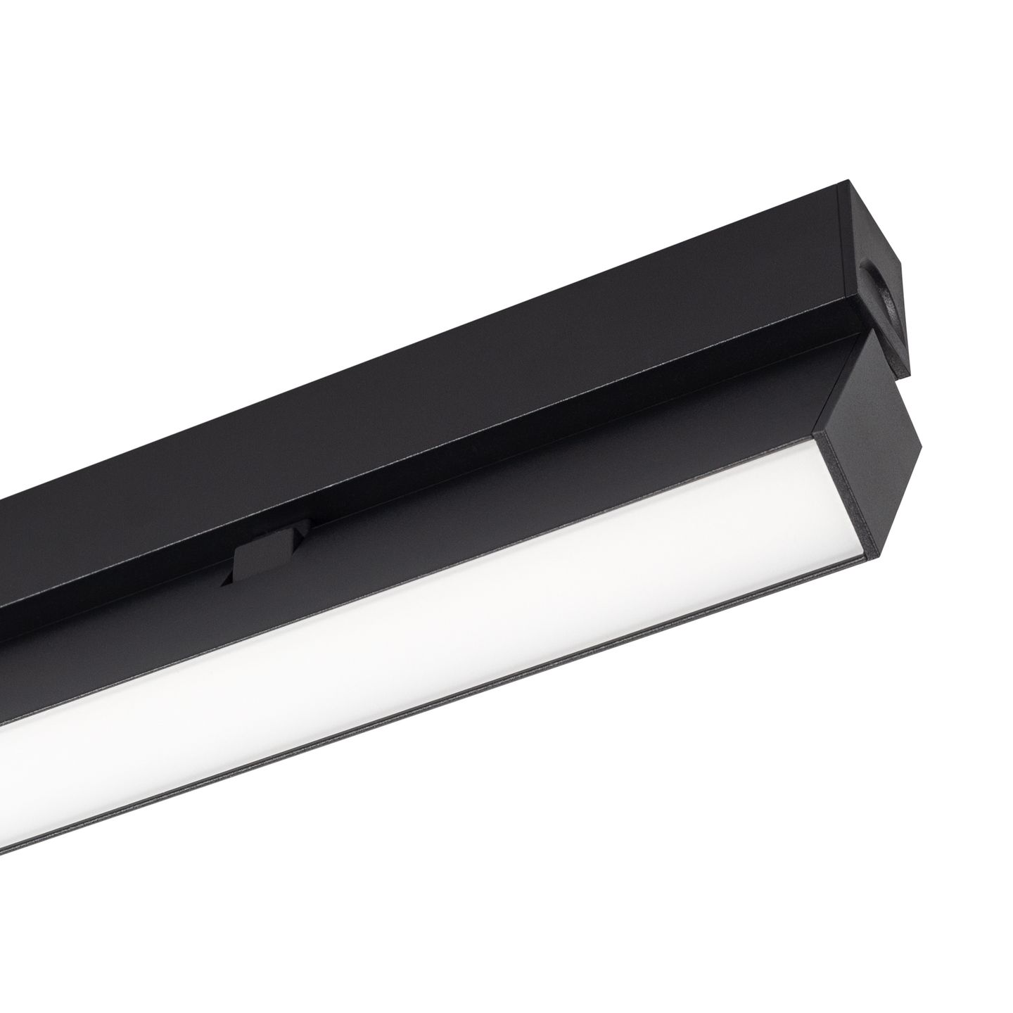 a_DL-12600-0313.jpg