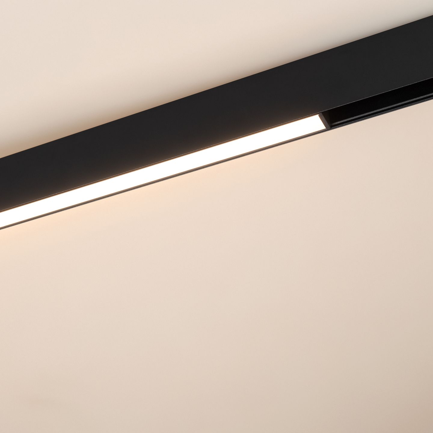 a_DL-12600-0511.jpg