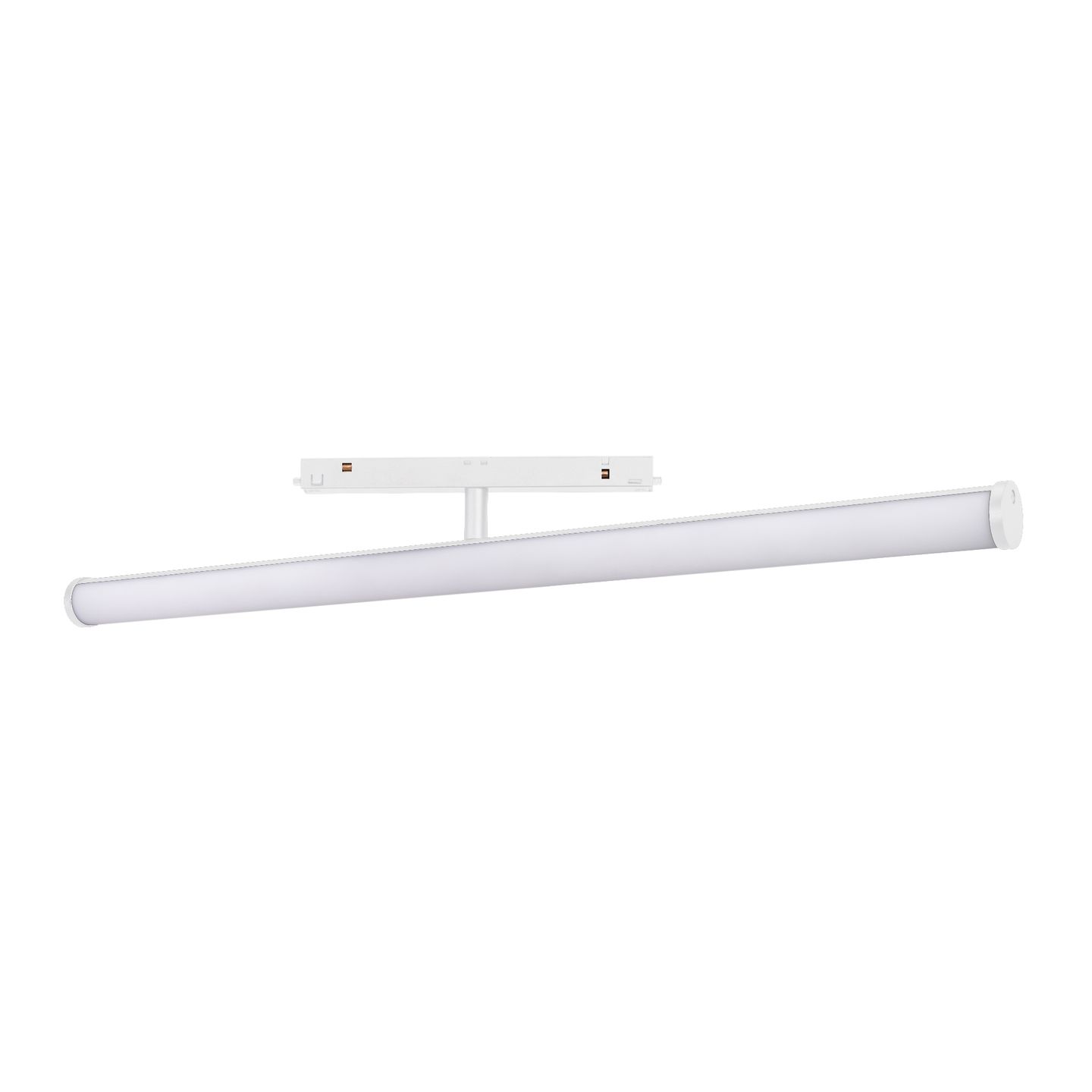 b_DL-12600-0695.jpg