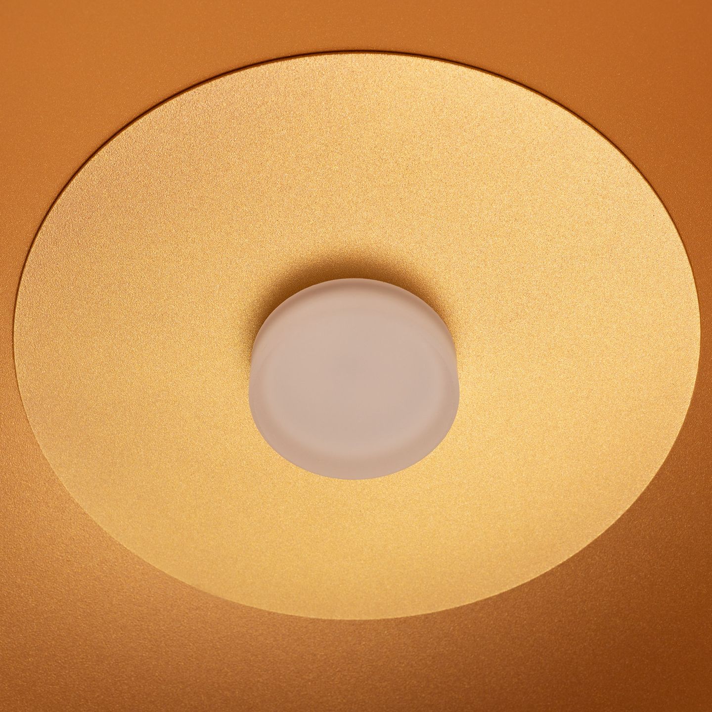 b_DL-12400-0497.jpg