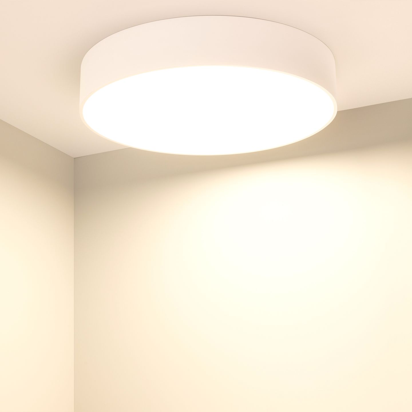 d_DL-12700-0080.jpg