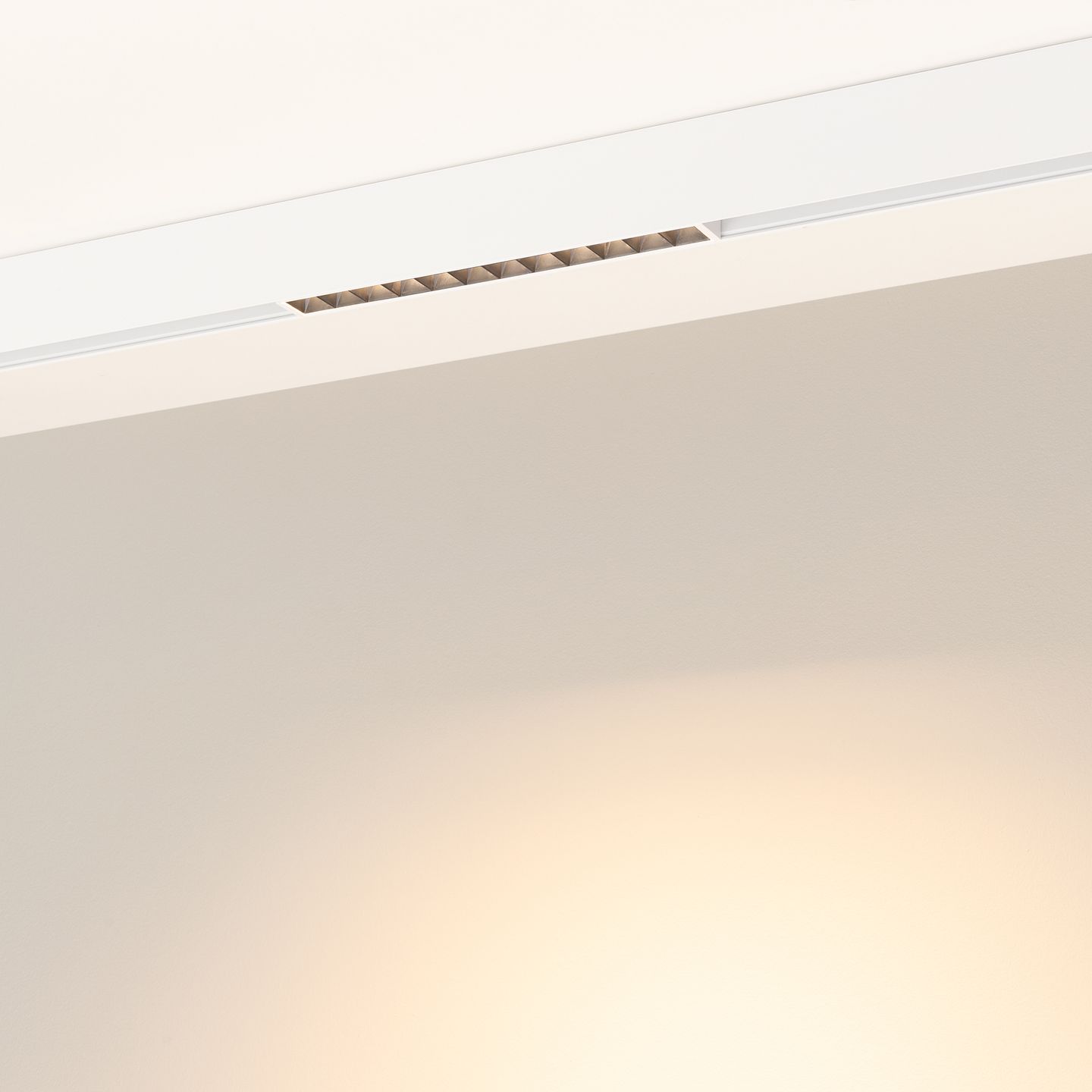 b_DL-12600-0543.jpg