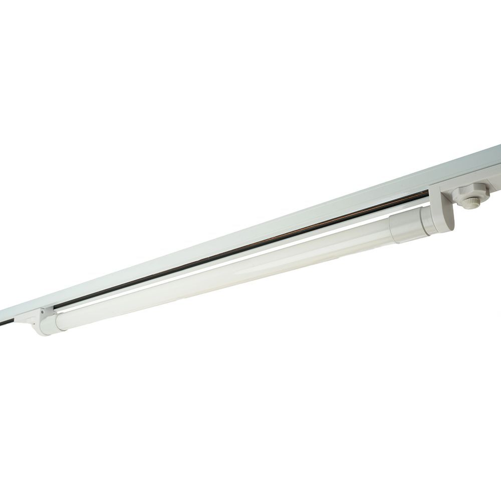 f_51037.jpg