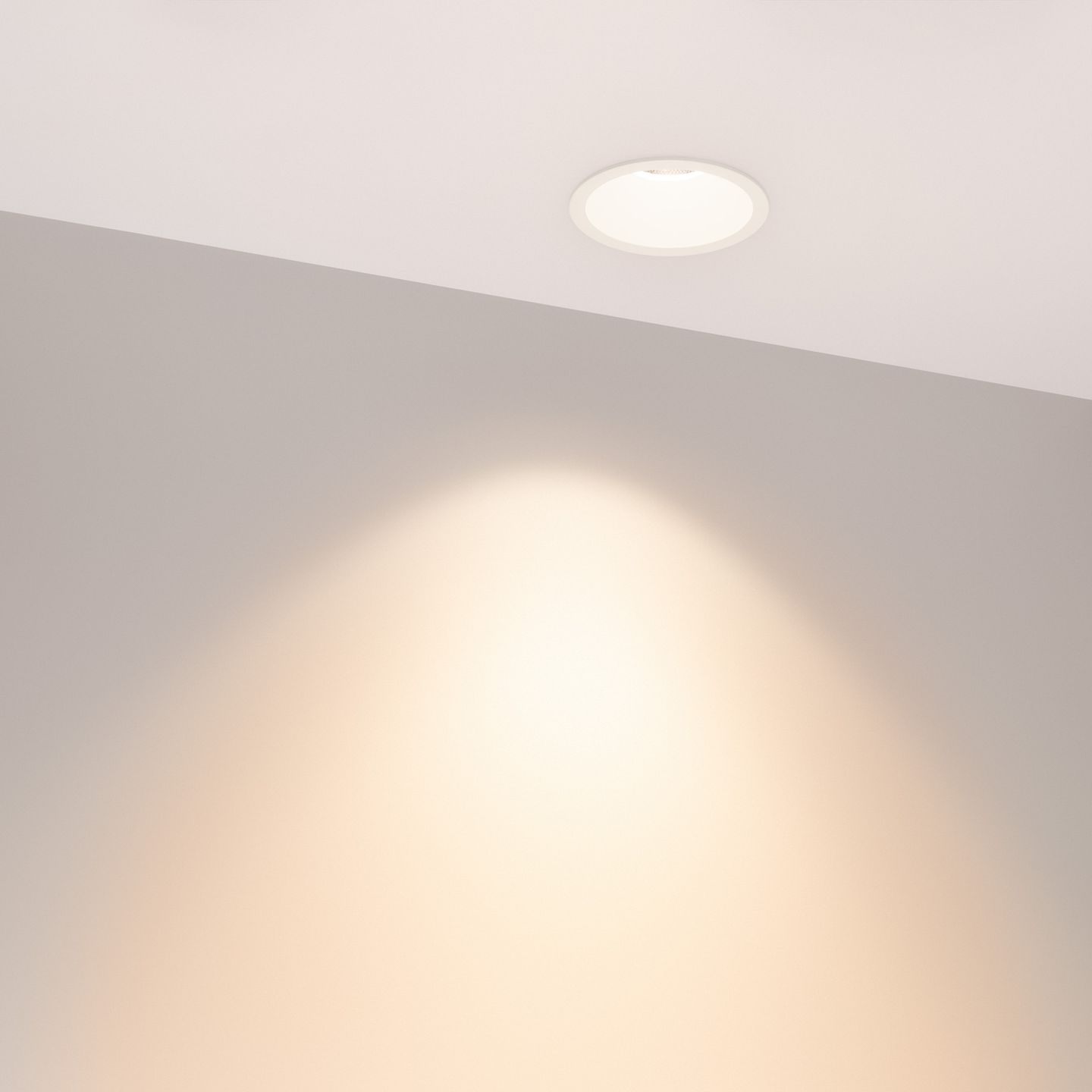 f_DL-04300-0238.jpg