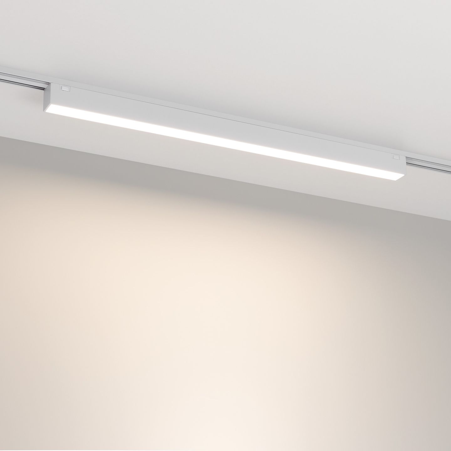b_DL-12600-0778.jpg
